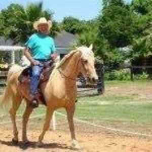 Meet your Posher, Bruce